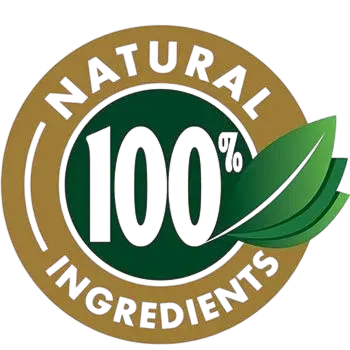 Memory Fuel  all natural ingredients